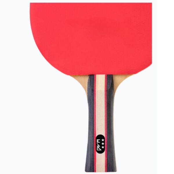 KIT RAQUETAS PING PONG