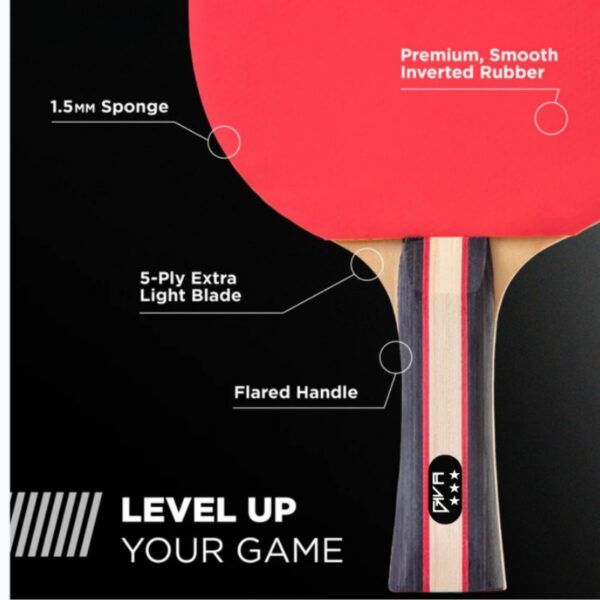KIT RAQUETAS PING PONG